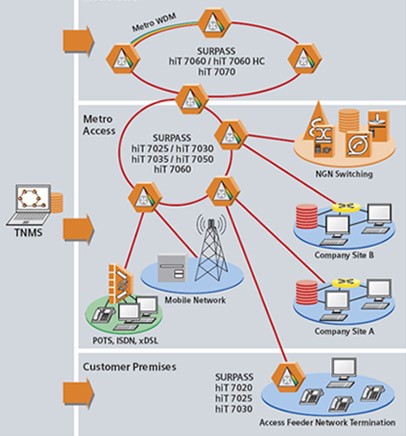 Surpass hiT Typical Network